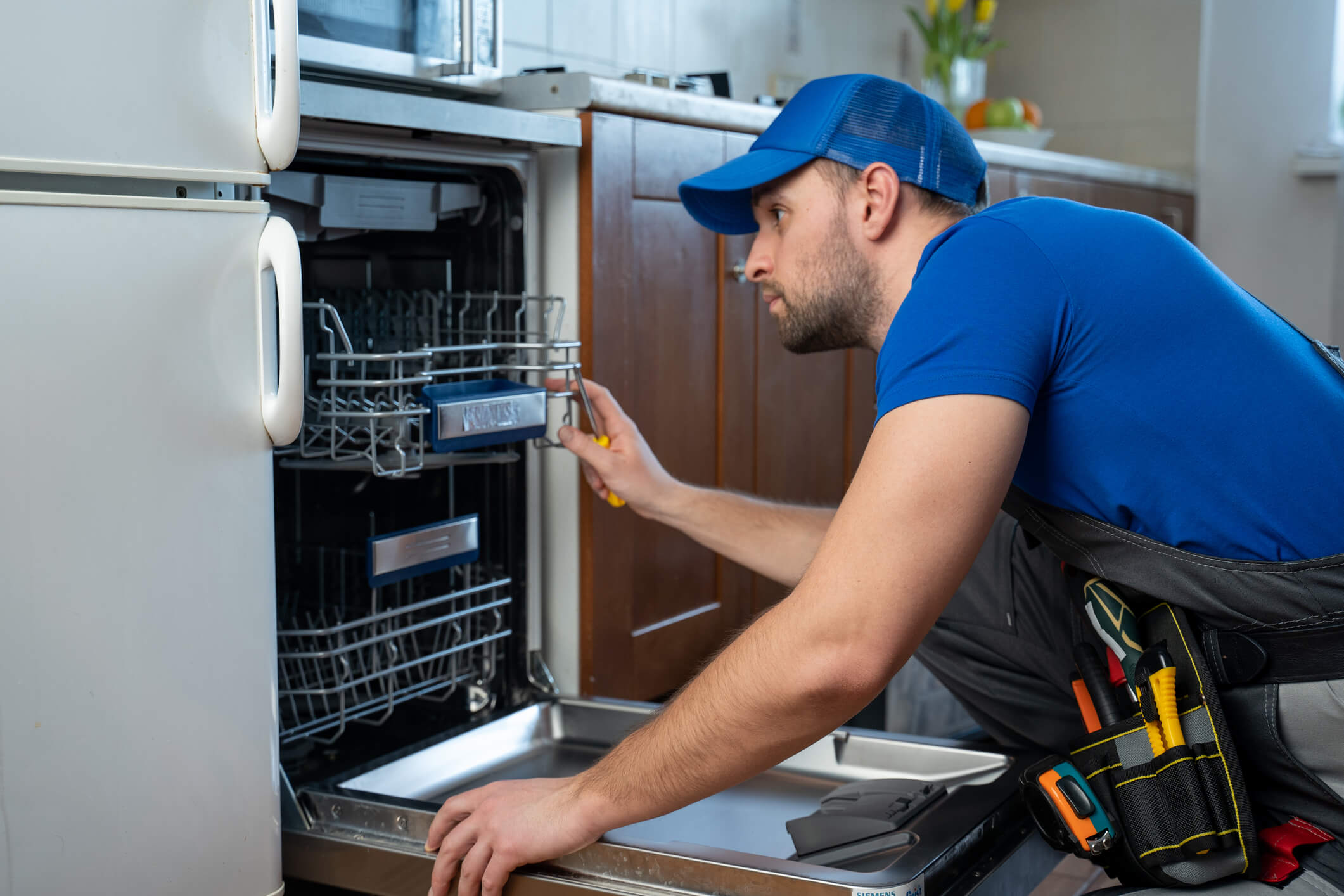 Fix Bosch Dishwasher Drainage Problem: Easy Tips & Tricks