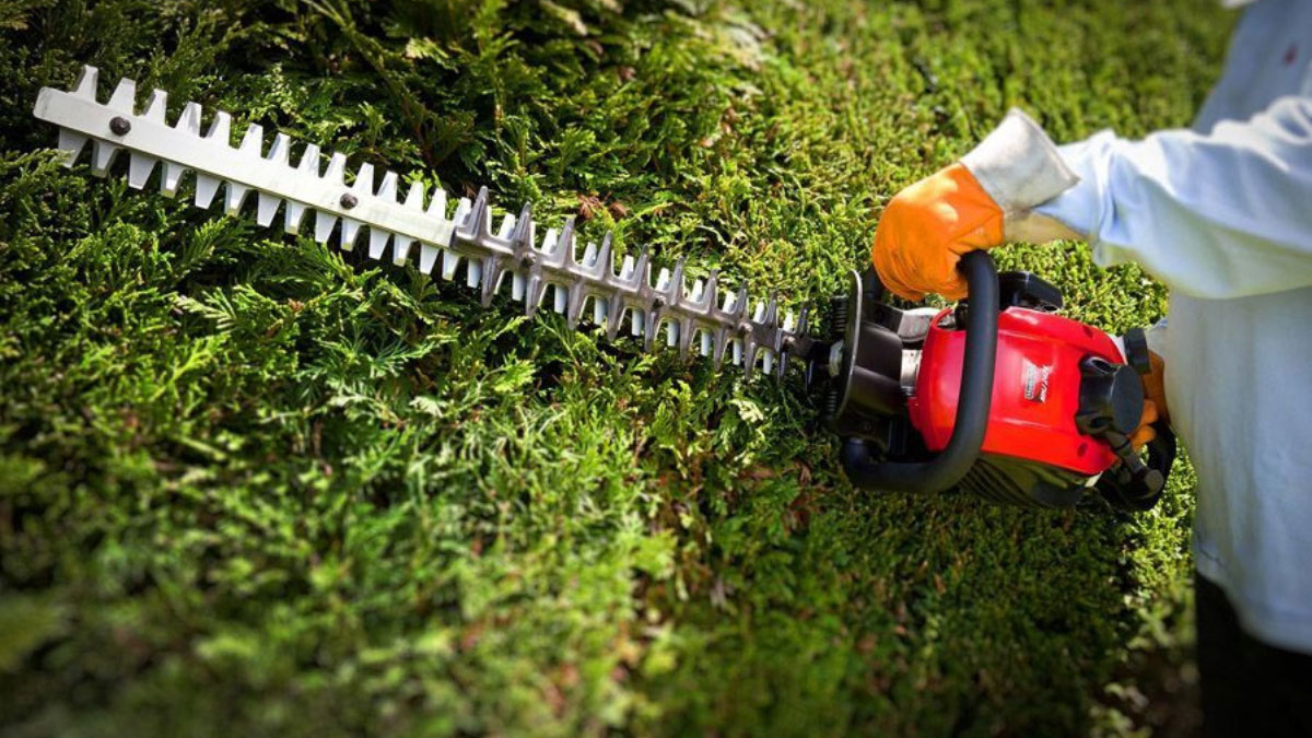 Mountfield Hedge Trimmer Problems